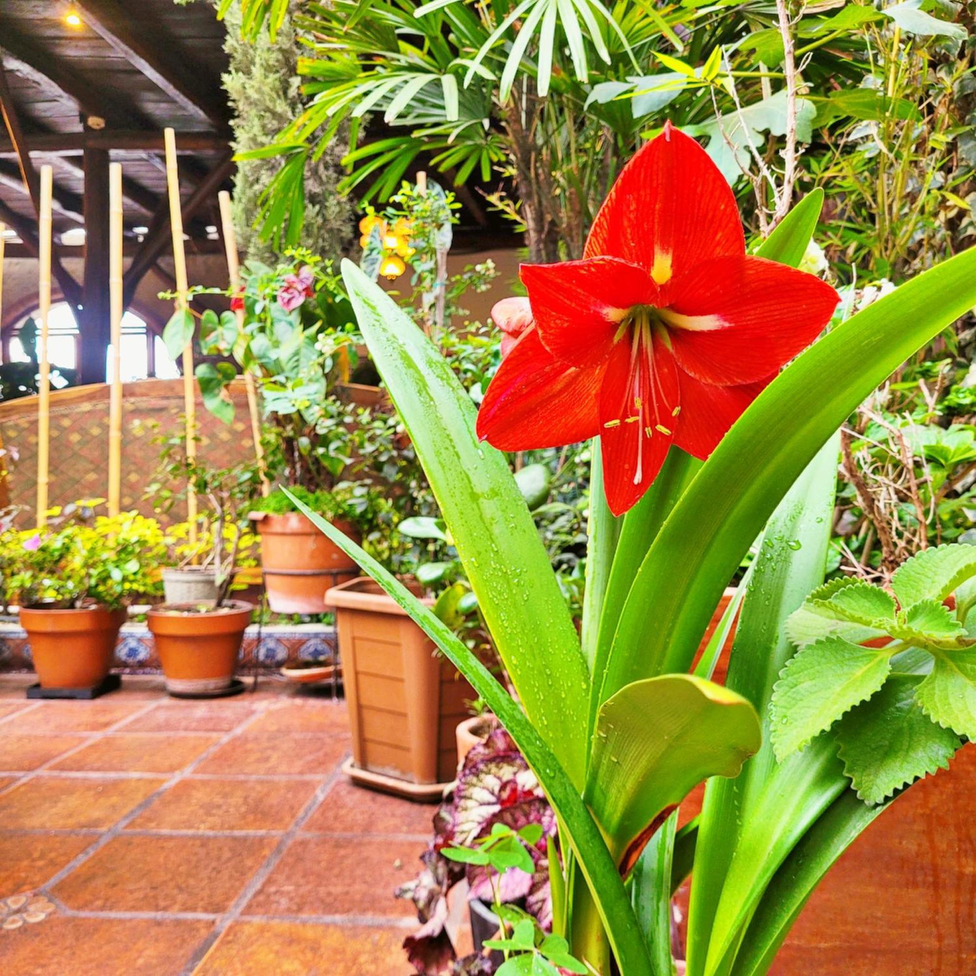 Hotel La Farola Cuenca Ngoại thất bức ảnh